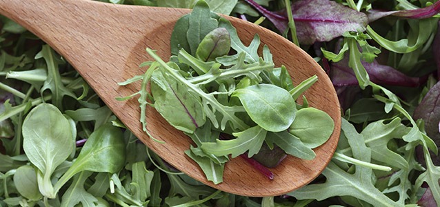 Wintersalate – Vitaminspender und Fitmacher Wintersalate sind Vitaminspender und Fitmacher